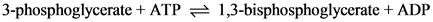 3-phosphoglycerate + ATP
1,3-bisphosphoglycerate + ADP