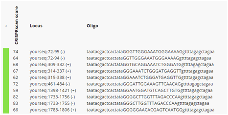 CRISPRscan score Locus Oligo 74 64 68 67 62 72 59 82 83 66 yourseq:72.95 (-) yourseq:72.94.) yourseq 309-332 () yourseq:314-3