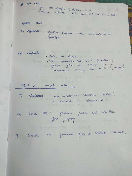 cell wall: - give call filter - strongth molecules e structure that & pass to in t out of the call. Anmol CELLS Leysosomes di