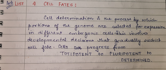 5 Ang List 4 CELL FATES : 5 3 Cell determination is the process by which portions of the genome are selected for expression i