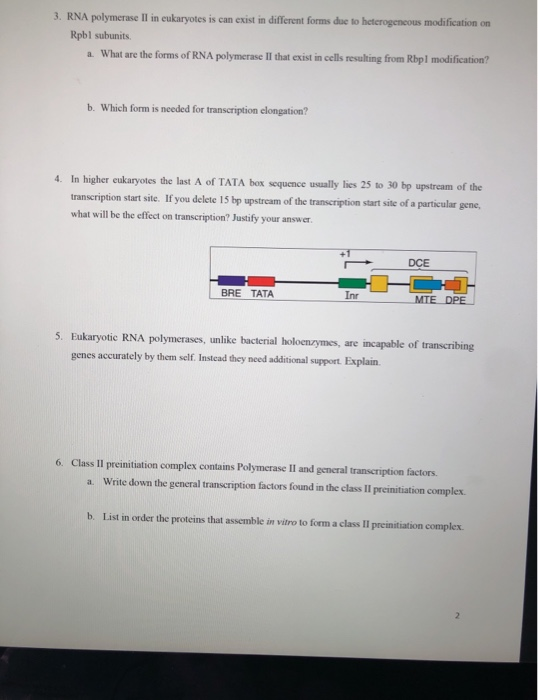 3. RNA polymerase II in eukaryotes is can exist in different forms due to heterogeneous modification on Rpbl subunits. a. Wha