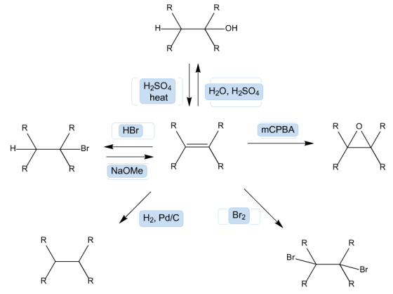 R
R
HO
-ОН
H
H2SO4
H20, H2SO4
heat
R
R
R
MCPBA
HBr
H
-Br
NaOMe
Br2
H2, Pd/C
X
R
R
R
Br
-Br