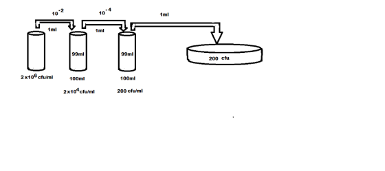 -2 İl@ -4 1 00) 1ml 1ml 1 ml 99ml 99ml 200 cfu 2x106 cfu/m100ml 100ml 2x10ctum200 cfu/mi