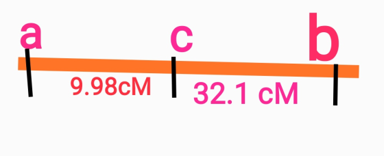 precu 22.1 cm. 9.98CM | 32.1 CM.