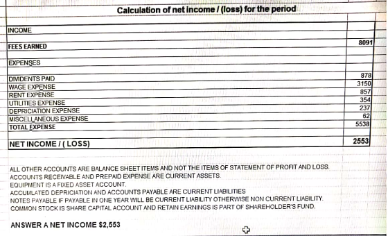 Calculation of net income 1 (loss) for the period INCOME FEES EARNED 8091 EXPENSES DIVIDENTS PAID WAGE EXPENSE RENT EXPENSE U