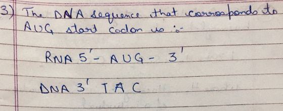 3 corresponds to The DNA sequence that AUG start codon is a RNA 5-AUG- 3 DNA 3 TAC