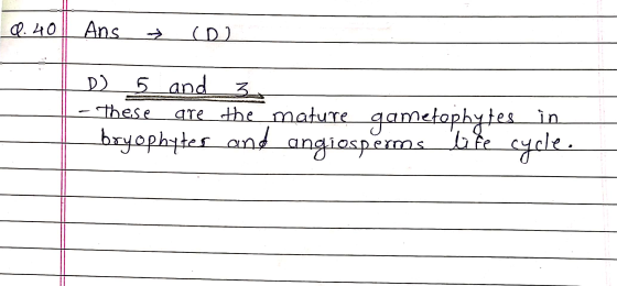 9.40 Ans (o D) 5 and 3 - These are the mature gametophytes in __bryophytes and angiosperms lote cycle.