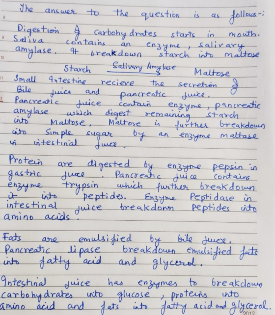 The answer to the question is as follows: Digestion & carbohydrates starts in mouth. • Saliva contains an enzyme salivary - a