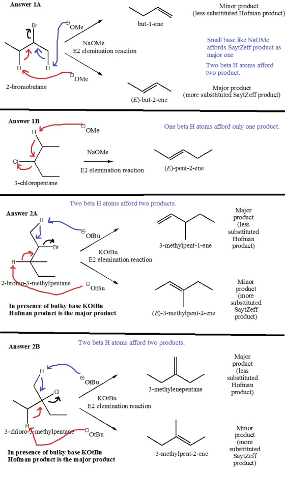 Answer 1A Minor product (less substtituted Hofman product) but-1-ene Br OMe Small base like NaOMe affords SaytZeff product as