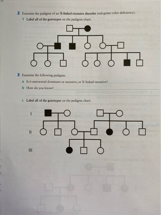 2 Examine the pedigree of an X-linked recessive disorder (red-green color deficiency). 1 Label all of the genotypes on the pe