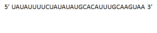 5 UAUAUUUUCUAUAUAUGCACAUUUGCAAGUAA 3