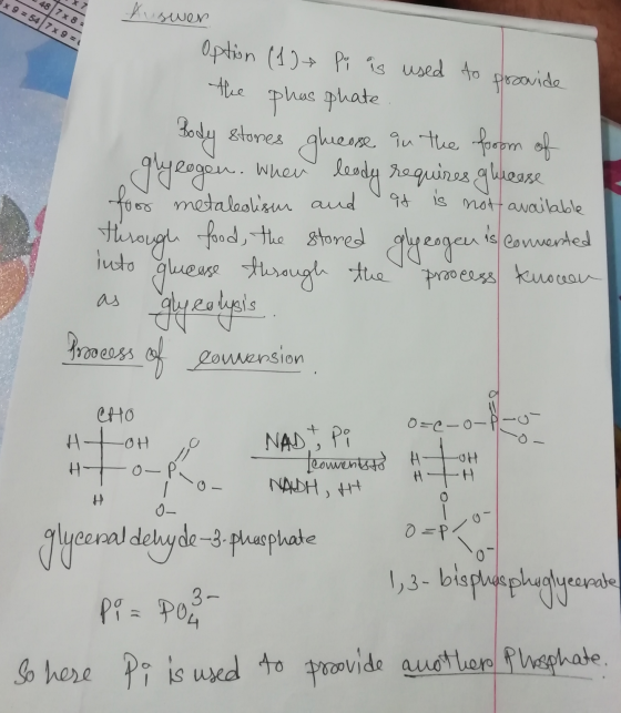 x 9 = 547x9 = 1 487 x 8 = 4 A swer Option (1) Pi is used to provide the phas phate Body stones it is not available gluease in