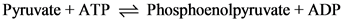 Pyruvate + ATP = Phosphoenolpyruvate + ADP