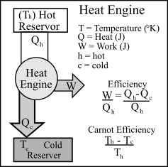 (T.) Hot
Reservor
Qu
Heat Engine
T = Temperature (K)
Q = Heat (J)
W = Work (J)
h = hot
c= cold
Heat
Engine
Efficiency
W=Q-Q
Q