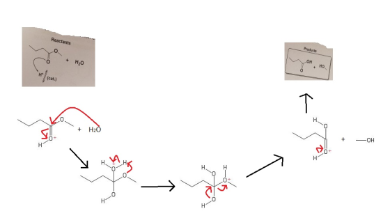 Products OH но. Reactants + H20 (cat.) OH H20