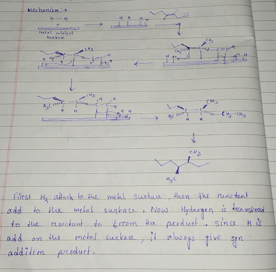mechanismit - HH T7 E Metal catalyst Surt &aa CH₂ H hel си и UH 30 THE WH Trh - the In CH-CH3 ch3 H₂C Firest the attach to th