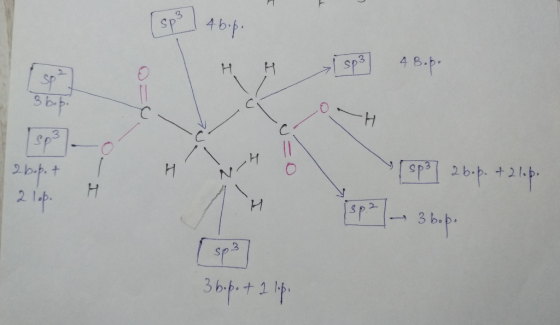 sp3 4 8.p Sp 2b.p. NOH H 2 1p +21 Sp 3 b-p Sps 36+24