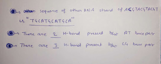 of AÇGTACGTALGT etter sequence of other DNA strand ТСАТ CAT CA - There are 2 H-bond present blo AT bace par O There are 3 Ha