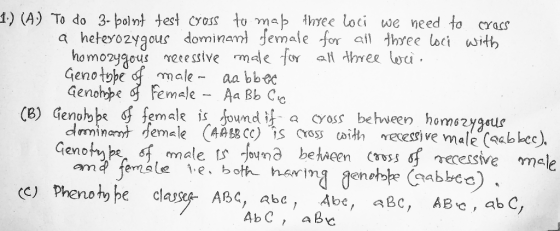 1.) (A:) To do 3- bolot test cross to mab three loci we need to cross a heterozygous dominant female for all three loci with