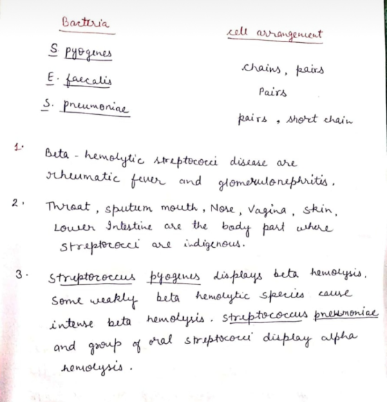 Bacteria cell arrangenceut s pyogenes ينلهمهمه chains, pairs Pairs S. pneumoniae pairs, short chain Beta - hemolytic streptoc