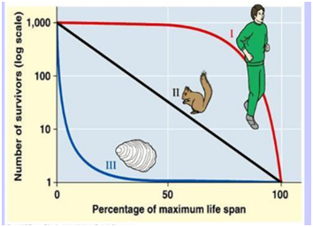 1,000 Number of survivors (log scale) 50 100 Percentage of maximum life span