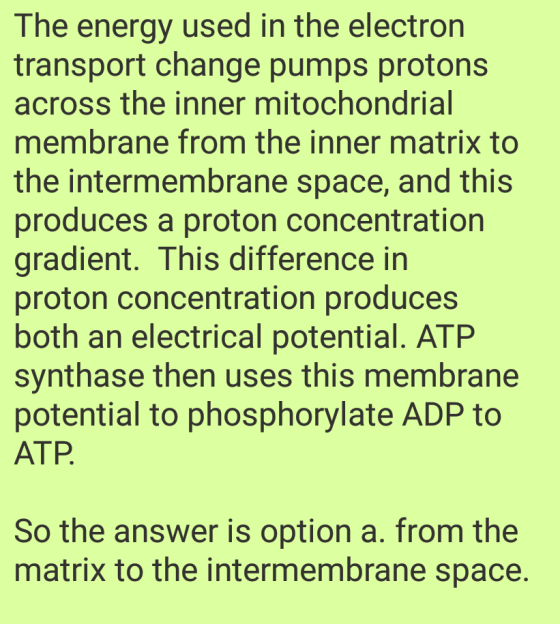 The energy used in the electron transport change pumps protons across the inner mitochondrial membrane from the inner matrix