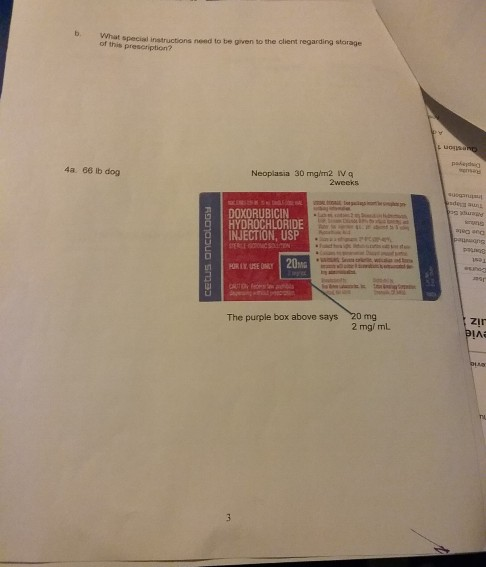What special instructions need to be given to the client regarding storage of this prescription? Luman 4a 66 lb dog Neoplasia