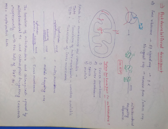 Post trans la t fonal trans por+ o signal se vemaun free lother se M TS nii to cho nchsas 70 MTS gehing Seg uan Use ATP Iplac