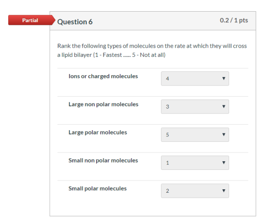 Partial Question 6 0.2/1 pts Rank the following types of molecules on the rate at which they will cross a lipid bilayer (1 -