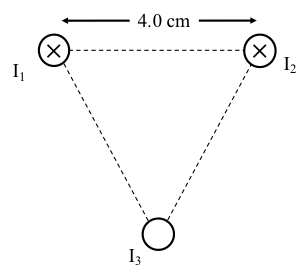 4.0 cm x Х I 12 13