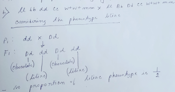 ll bb ad ce wtwt mm x el Bb Dd ee wtWt mm liliae comidering the phenotype Pi: dd x Dd Fr: Dd dd Dd dd (chocolate) . (chocolat