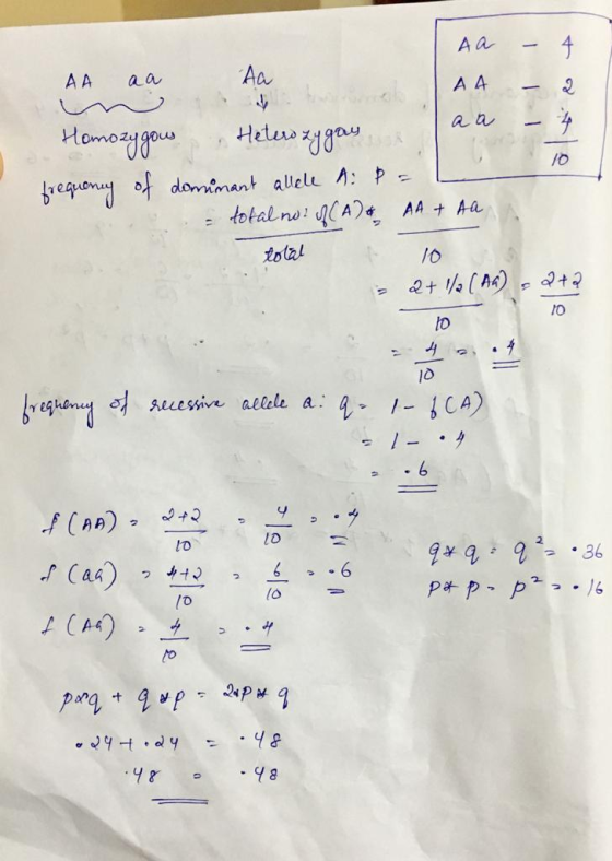 AA aa aa AA à let Homozygous Heterozygays. frequency of dominant allele A p = total nu? RCA), AA + Aa total 10 2+1/2 (Aa), 2+