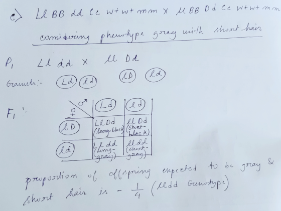 Ll B B dd l c Wt wt mm x M BB D d Cc Wt wt mm phenotype gray with comidering short hair Pi Ledd x ll Dd GoAsub (24/11) (CĐ) (