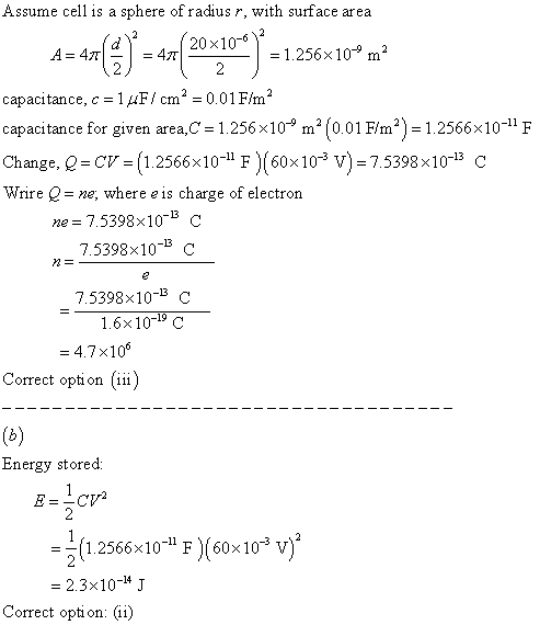 Assume cell is a sphere of radius r, with surface area A=4r ()*=*=(20*100) – 1250*10m? capacitance, c = 14F/cm² = 0.01 F/m2 c