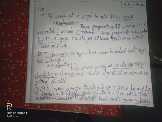 Explaination - There ordements of 10 boses Dorok: .28/03 Date 28/03/20 0.9. d? The biochemist is forgot to add DNA liguse. Th