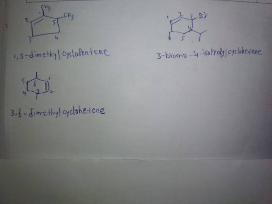 1 2 3 BV 6 Š T 3-bromo-4-iso Profy cyclohetene 1,5-dimethy) cyclopentene 3,6-dimethyl cyclohetene