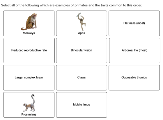 Select all of the following which are examples of primates and the traits common to this order. Flat nails (most) Monkeys Ape