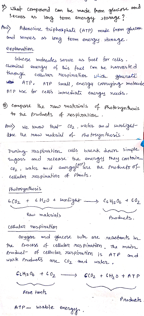 nom glucose and What compound can be made from glucose serves as long term energy storage ? Ans> Adenosine triphosphate (AT