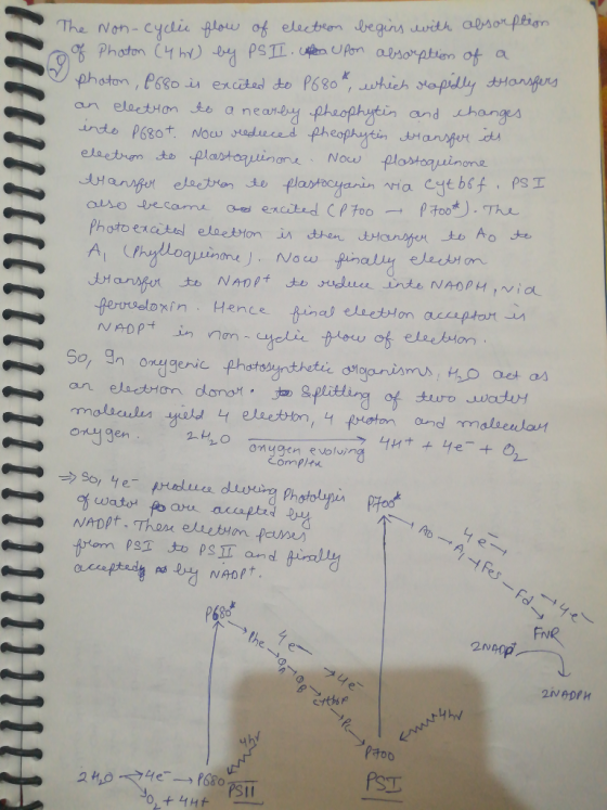 i and ou on gen ygen evolving yと FvR