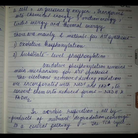 mursday sday - 09.00 12.00 a cella in preesence of oxygen , transforms into Chemical theraly motion energy Kinetic energy and