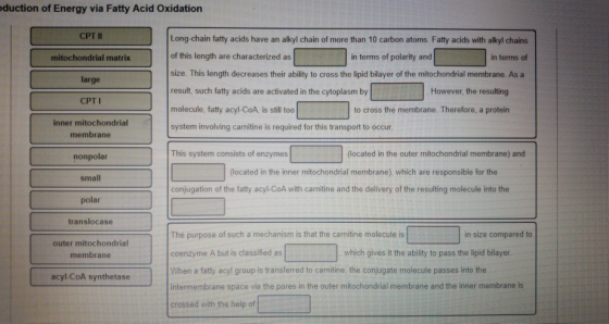 duction of Energy via Fatty Acid Oxidation CPT II mitochondrial matrix large CPT I inner mitochondrial Long-chain fatty acids have an alkyl chain of more than 10 carbon atoms. Fatty acids with alkyl chains of this length are characterized as size. This length decreases their ability to cross the lipid bilayer of the mitochondrial membrane. As a result, such fatty acids are activated in the cytoplasm by molecule, fatty acyl-CoA is still too system involving carnitine is required for this transport to occur in terms of polarity and in terms of However, the resulting to cross the membrane. Therefore, a protein membrane nonpolar small polar translocase outer mitochondrial This system consists of enzymes (located in the outer mitochondrial membrane) and located in the inner mitochondrial membrane) which are responsible for the conjugation of the fatty acyl-CoA with carnitine and the delivery of the resulting molecule into the The purpose of such a mechanism is that the carnitine molecule is coenzyme A but is classified as When a fatty acyl group is transferred to carnitine, the conjugate molecule passes into the intermembrane space via the pores in the outer mitochondrial membrane and the inner membrane is crossed with the help of in size compared to membrane which gives it the ability to pass the lipid bilayer acyl-CoA synthetase