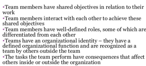 •Team members have shared objectives in relation to their work Team members interact with each other to achieve these shared