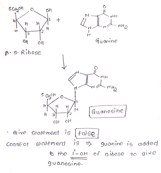56H2OH, OH In INHO I-2 Guanine | 애 애 B- O- Ribose -NH Anha 5 Cho Hoy ! Guanosine) | 아아 :. Give Statement is [False Goodlot st