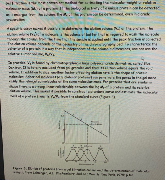Gel filtration is the most convenient method for estimating the molecular weight or relative molecular mass (Mr) of a protein