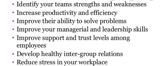 • Identify your teams strengths and weaknesses • Increase productivity and efficiency • Improve their ability to solve proble