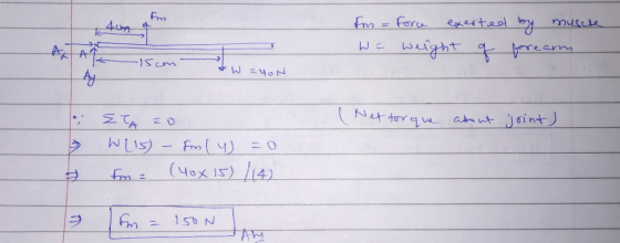 fm = force exerted by muscle We weight of forearm •W zyon e ( Neftor que about joint) ŽTA zo WLIS) - fm (4) 20 fm = (40x15) /