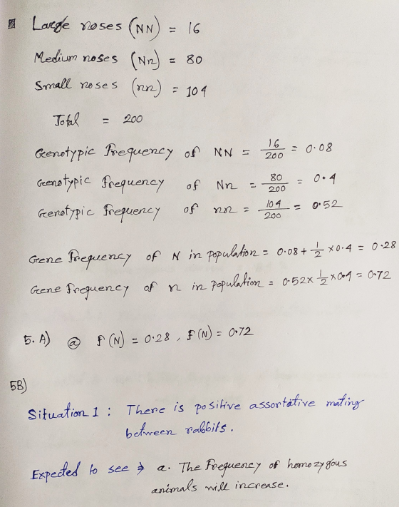 e Large roses (NN) = 16 Medium noses (N2) = 80 small roses (nn) = 104 Total = 200 Geenotypic frequency of NN = 266 = 0.08 Gen