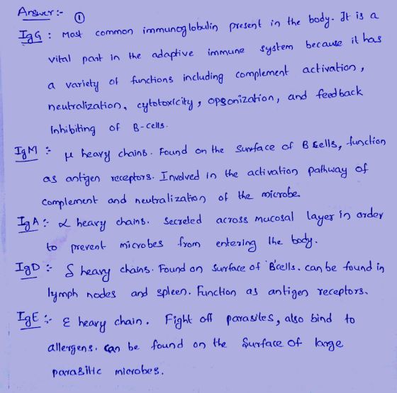 Answer: 0 IgG : Most common immunoglobulin present in the body. It is a vital part in the adaptive immune system because it h