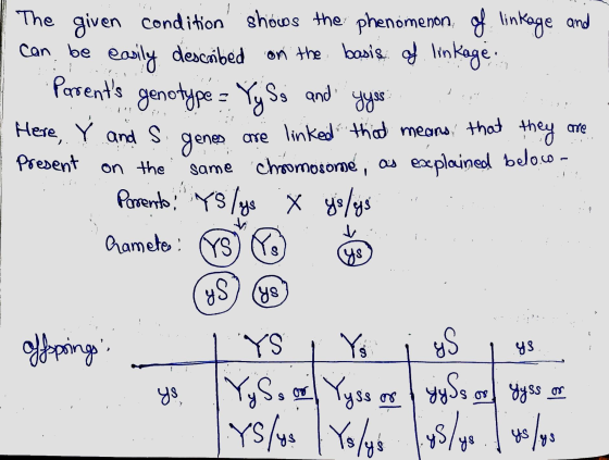 The given condition shows the phenomenon of linkage and I can be easily described on the basis of linkage I Parents genotype