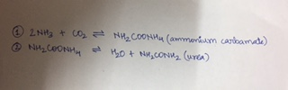 2NH3 + CO = HH2COOHHM (ammonium cordoamate) 2 PM CỘNH • HO+ NH₃CONI (urea)